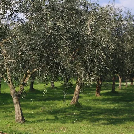 아파트 Lanterna Azzurra Trebiano